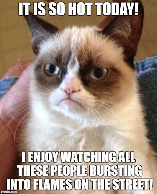 Grumpy Cat Meme | IT IS SO HOT TODAY! I ENJOY WATCHING ALL THESE PEOPLE BURSTING INTO FLAMES ON THE STREET! | image tagged in memes,grumpy cat | made w/ Imgflip meme maker