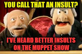 YOU CALL THAT AN INSULT? I'VE HEARD BETTER INSULTS ON THE MUPPET SHOW | made w/ Imgflip meme maker