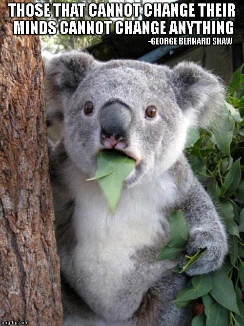 Surprised Koala Meme | THOSE THAT CANNOT CHANGE THEIR MINDS CANNOT CHANGE ANYTHING; -GEORGE BERNARD SHAW | image tagged in memes,surprised koala | made w/ Imgflip meme maker