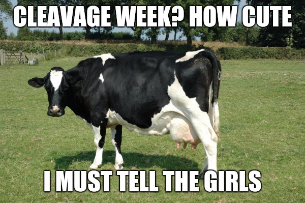 Trying to figure out what to post that's not NSFW  | CLEAVAGE WEEK? HOW CUTE; I MUST TELL THE GIRLS | image tagged in cleavage week,cow,memes | made w/ Imgflip meme maker