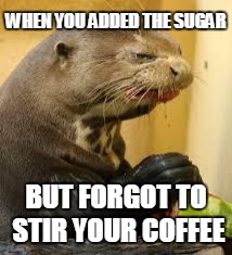 Disgusted Otter | WHEN YOU ADDED THE SUGAR; BUT FORGOT TO STIR YOUR COFFEE | image tagged in disgusted otter | made w/ Imgflip meme maker