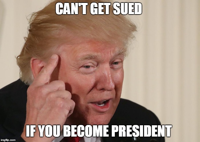 Thinker and Chief  | CAN'T GET SUED; IF YOU BECOME PRESIDENT | image tagged in donald trump,you cant - if you don't | made w/ Imgflip meme maker
