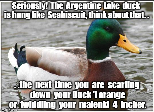 Actual Advice Mallard Meme | Seriously!  The  Argentine  Lake  duck  is hung like  Seabiscuit, think about that. . . .the  next  time  you  are  scarfing  down  your Duck 'l orange  or  twiddling  your  malenki  4  incher. | image tagged in memes,actual advice mallard | made w/ Imgflip meme maker