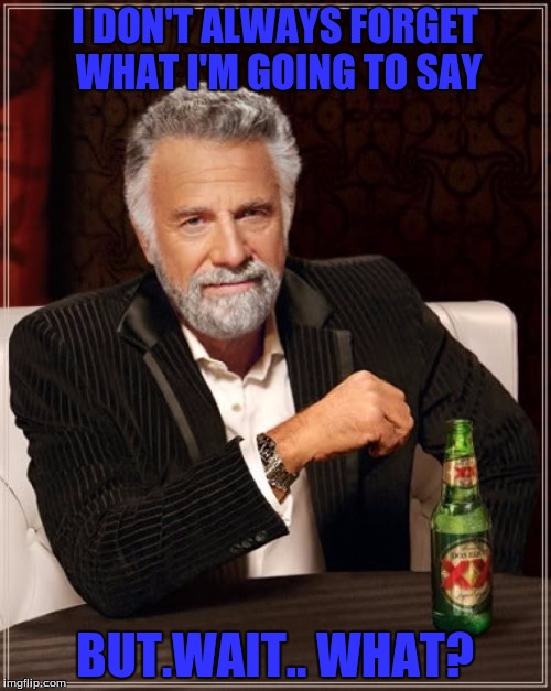 The Most Interesting Man In The World Meme | I DON'T ALWAYS FORGET WHAT I'M GOING TO SAY BUT.WAIT.. WHAT? | image tagged in memes,the most interesting man in the world | made w/ Imgflip meme maker
