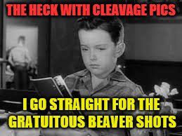 THE HECK WITH CLEAVAGE PICS I GO STRAIGHT FOR THE GRATUITOUS BEAVER SHOTS | made w/ Imgflip meme maker