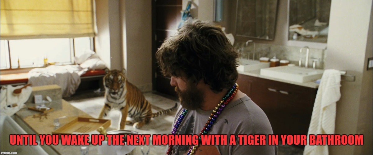 UNTIL YOU WAKE UP THE NEXT MORNING WITH A TIGER IN YOUR BATHROOM | made w/ Imgflip meme maker