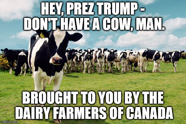 Trump hates Canadian Dairy | HEY, PREZ TRUMP - DON'T HAVE A COW, MAN. BROUGHT TO YOU BY THE DAIRY FARMERS OF CANADA | image tagged in don't have a cow,trump nafta,nafta,canada,donald trump | made w/ Imgflip meme maker