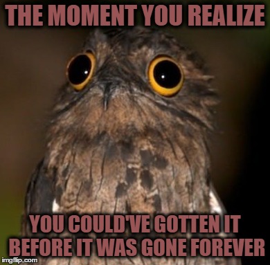 THE MOMENT YOU REALIZE; YOU COULD'VE GOTTEN IT BEFORE IT WAS GONE FOREVER | image tagged in birds | made w/ Imgflip meme maker