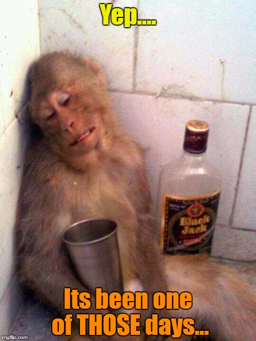 drunk monkey | Yep.... Its been one of THOSE days... | image tagged in drunk monkey | made w/ Imgflip meme maker