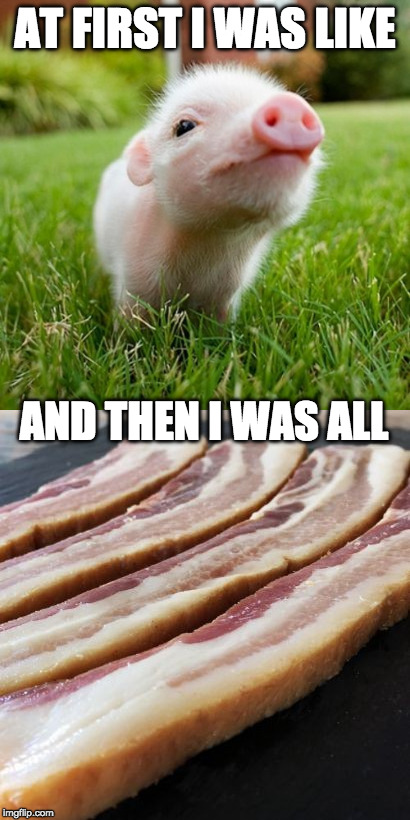 Like.....for real! | AT FIRST I WAS LIKE; AND THEN I WAS ALL | image tagged in bacon,pig,cute,like,omg | made w/ Imgflip meme maker