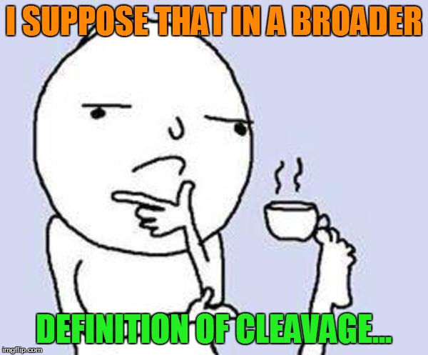 I SUPPOSE THAT IN A BROADER DEFINITION OF CLEAVAGE... | made w/ Imgflip meme maker