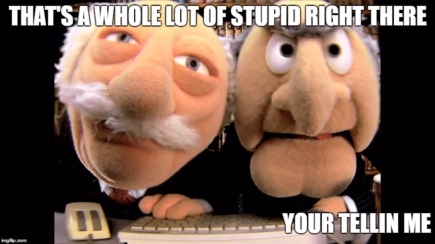 THAT'S A WHOLE LOT OF STUPID RIGHT THERE; YOUR TELLIN ME | image tagged in statler and waldorf,the muppets | made w/ Imgflip meme maker