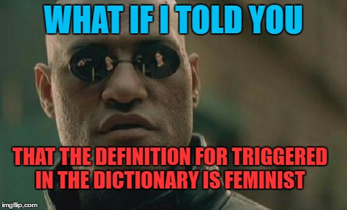 Matrix Morpheus Meme | WHAT IF I TOLD YOU; THAT THE DEFINITION FOR TRIGGERED IN THE DICTIONARY IS FEMINIST | image tagged in memes,matrix morpheus,funny,feminist | made w/ Imgflip meme maker