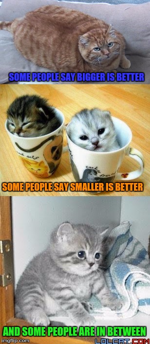 All People Have Different Opinions   | SOME PEOPLE SAY BIGGER IS BETTER; SOME PEOPLE SAY SMALLER IS BETTER; AND SOME PEOPLE ARE IN BETWEEN | image tagged in memes,opinions,cats | made w/ Imgflip meme maker