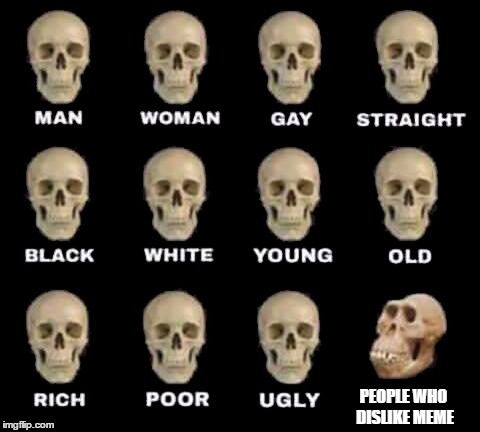 man woman gay straight skull | PEOPLE WHO DISLIKE MEME | image tagged in man woman gay straight skull | made w/ Imgflip meme maker