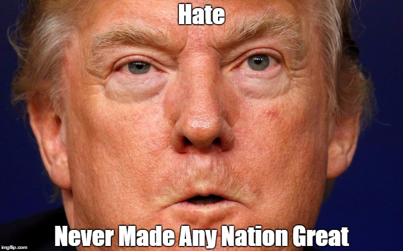 Hate Never Made Any Nation Great | made w/ Imgflip meme maker