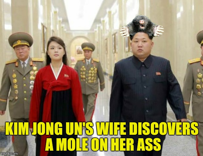 Does that make it an assmole?  | KIM JONG UN'S WIFE DISCOVERS A MOLE ON HER ASS | image tagged in kim jong un,mole,ri sol-ju,ass | made w/ Imgflip meme maker