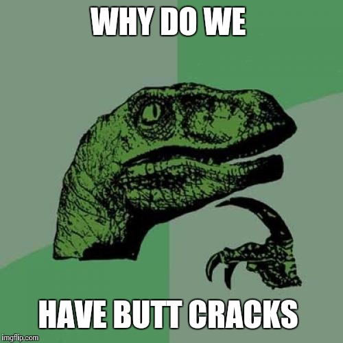 Philosoraptor | WHY DO WE; HAVE BUTT CRACKS | image tagged in memes,philosoraptor | made w/ Imgflip meme maker