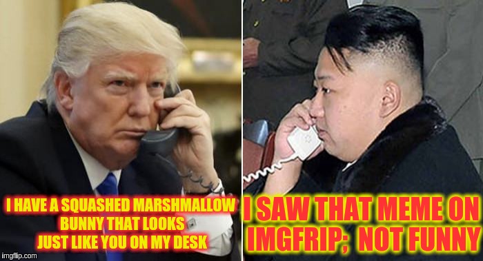 The Phone Call | I HAVE A SQUASHED MARSHMALLOW BUNNY THAT LOOKS JUST LIKE YOU ON MY DESK; I SAW THAT MEME ON IMGFRIP;
 NOT FUNNY | image tagged in the phone call | made w/ Imgflip meme maker