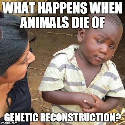 Third World Skeptical Kid Meme | WHAT HAPPENS WHEN ANIMALS DIE OF; GENETIC RECONSTRUCTION? | image tagged in memes,third world skeptical kid | made w/ Imgflip meme maker