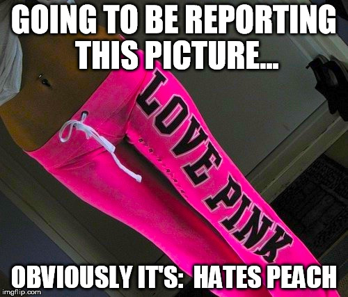 GOING TO BE REPORTING THIS PICTURE... OBVIOUSLY IT'S:  HATES PEACH | image tagged in love pink hates peach | made w/ Imgflip meme maker