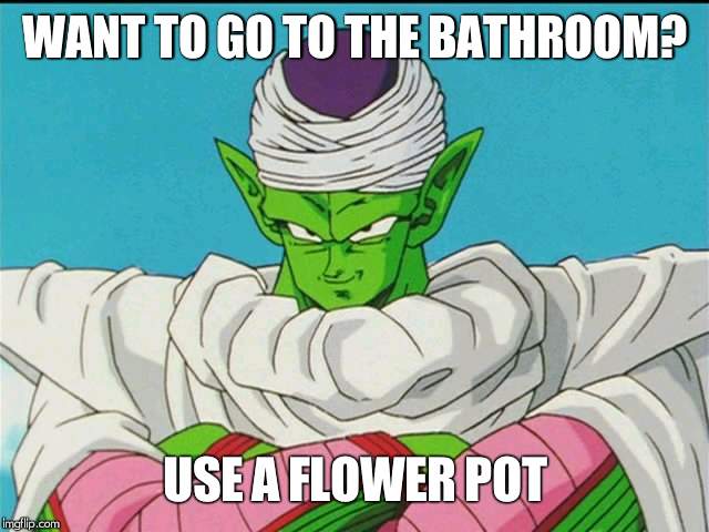 Bad teacher piccolo | WANT TO GO TO THE BATHROOM? USE A FLOWER POT | image tagged in bad teacher piccolo | made w/ Imgflip meme maker
