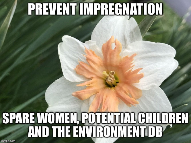 PREVENT IMPREGNATION; SPARE WOMEN, POTENTIAL CHILDREN AND THE ENVIRONMENT DB | image tagged in impregnation natalism antinatslixm | made w/ Imgflip meme maker