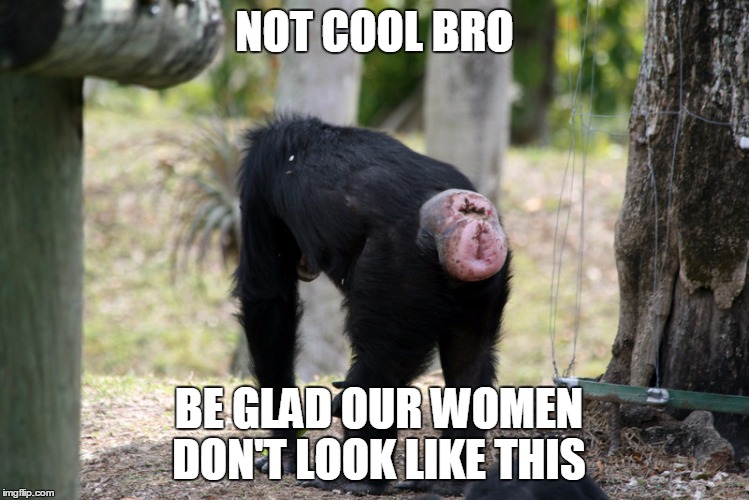 NOT COOL BRO BE GLAD OUR WOMEN DON'T LOOK LIKE THIS | made w/ Imgflip meme maker