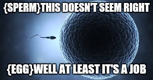 sperm egg | {SPERM}THIS DOESN'T SEEM RIGHT; {EGG}WELL AT LEAST IT'S A JOB | image tagged in sperm egg | made w/ Imgflip meme maker