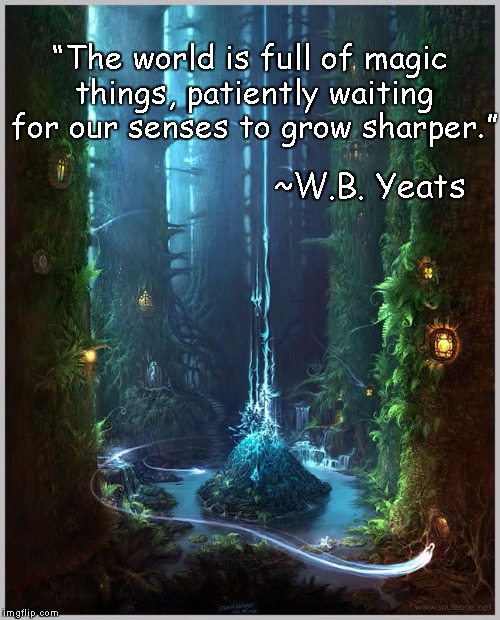Magic Forest | “The world is full of magic things, patiently waiting for our senses to grow sharper.”; ~W.B. Yeats | image tagged in wb yeats,fantasy,faerie,illusions,reality | made w/ Imgflip meme maker