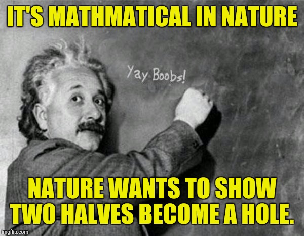IT'S MATHMATICAL IN NATURE NATURE WANTS TO SHOW TWO HALVES BECOME A HOLE. | made w/ Imgflip meme maker