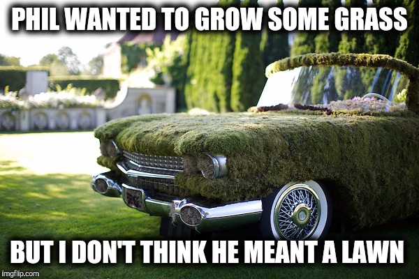 I dirigible this is what they meant boogie.  Happy 4-20! | PHIL WANTED TO GROW SOME GRASS; BUT I DON'T THINK HE MEANT A LAWN | image tagged in 420,grass car,memes | made w/ Imgflip meme maker