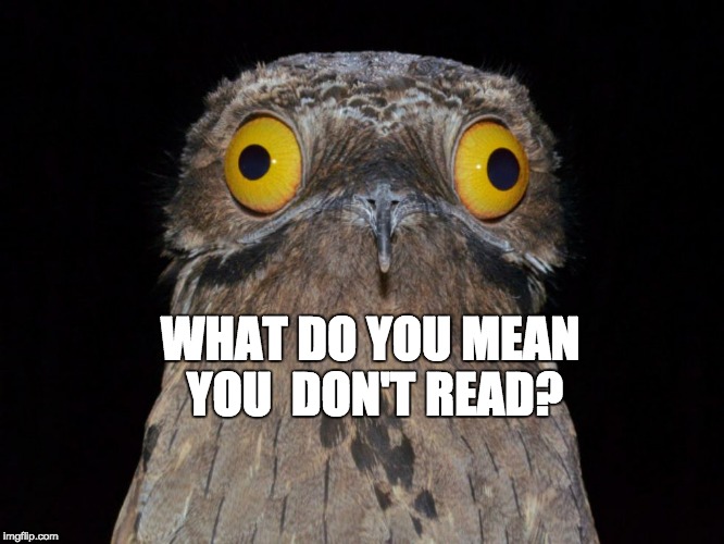 Pootoo Bird | WHAT DO YOU MEAN YOU 
DON'T READ? | image tagged in pootoo bird | made w/ Imgflip meme maker