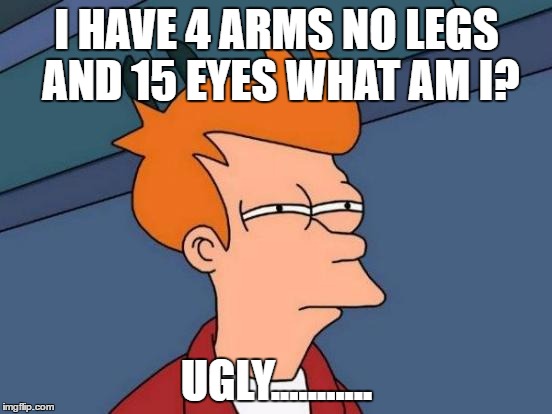 Futurama Fry Meme | I HAVE 4 ARMS NO LEGS AND 15 EYES WHAT AM I? UGLY........... | image tagged in memes,futurama fry | made w/ Imgflip meme maker