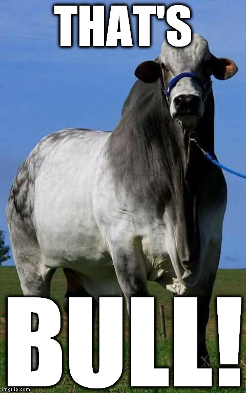 That's bull | THAT'S; BULL! | image tagged in bull,bullshit,crap | made w/ Imgflip meme maker