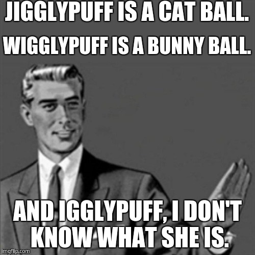 Jigglypuff family | JIGGLYPUFF IS A CAT BALL. WIGGLYPUFF IS A BUNNY BALL. AND IGGLYPUFF, I DON'T KNOW WHAT SHE IS. | image tagged in correction guy,kill yourself guy | made w/ Imgflip meme maker