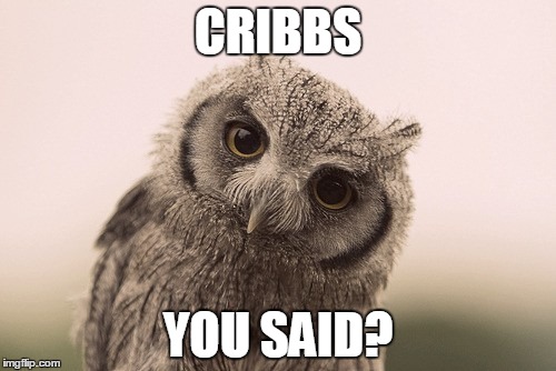 CRIBBS; YOU SAID? | image tagged in uh | made w/ Imgflip meme maker