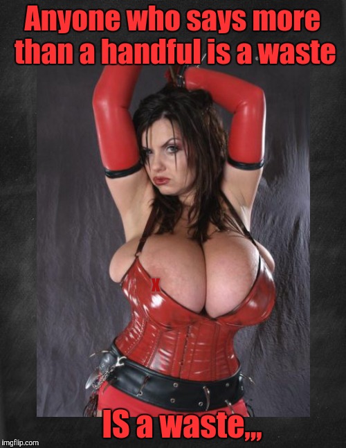 The more, the merrier,,, | Anyone who says more than a handful is a waste; x; IS a waste,,, | image tagged in nsfw,cleavage week,a mushuthedog event,cleavage,boom boom boobs,dayum | made w/ Imgflip meme maker