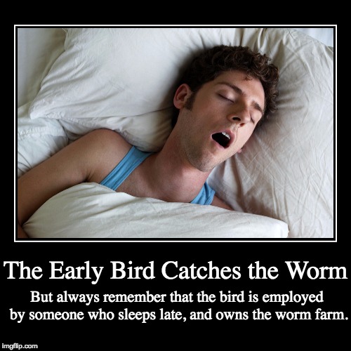 Early Bird? | The Early Bird Catches the Worm | But always remember that the bird is employed by someone who sleeps late, and owns the worm farm. | image tagged in funny,demotivationals,early bird | made w/ Imgflip demotivational maker