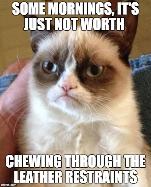 Grumpy Cat Meme | SOME MORNINGS, IT'S JUST NOT WORTH; CHEWING THROUGH THE LEATHER RESTRAINTS | image tagged in memes,grumpy cat | made w/ Imgflip meme maker