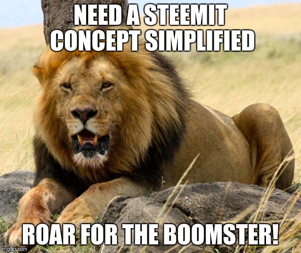 NEED A STEEMIT CONCEPT SIMPLIFIED; ROAR FOR THE BOOMSTER! | made w/ Imgflip meme maker