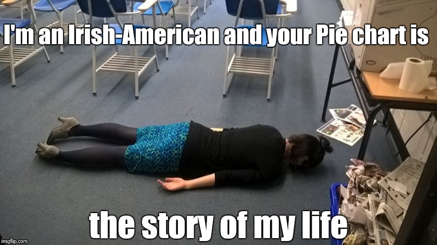 Please make it stop | I'm an Irish-American and your Pie chart is the story of my life | image tagged in please make it stop | made w/ Imgflip meme maker