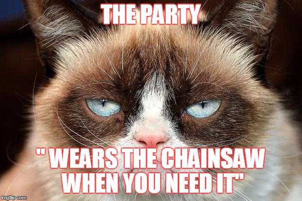 Grumpy Cat Not Amused Meme | THE PARTY; '' WEARS THE CHAINSAW WHEN YOU NEED IT'' | image tagged in memes,grumpy cat not amused,grumpy cat | made w/ Imgflip meme maker