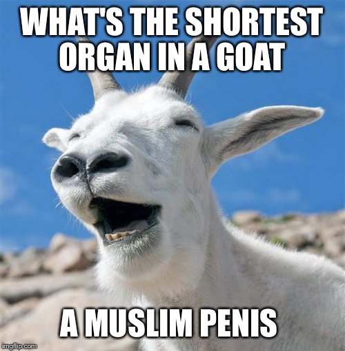 Laughing Goat Meme | WHAT'S THE SHORTEST ORGAN IN A GOAT; A MUSLIM PENIS | image tagged in memes,laughing goat | made w/ Imgflip meme maker