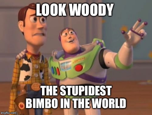 X, X Everywhere Meme | LOOK WOODY THE STUPIDEST BIMBO IN THE WORLD | image tagged in memes,x x everywhere | made w/ Imgflip meme maker