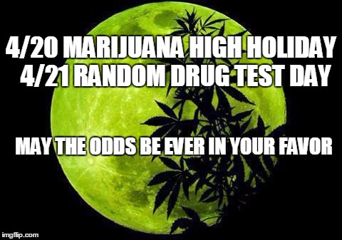 weed  | 4/20 MARIJUANA HIGH HOLIDAY 
4/21 RANDOM DRUG TEST DAY; MAY THE ODDS BE EVER IN YOUR FAVOR | image tagged in weed | made w/ Imgflip meme maker