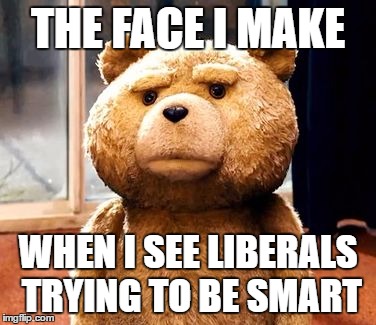 TED Meme | THE FACE I MAKE; WHEN I SEE LIBERALS TRYING TO BE SMART | image tagged in memes,ted | made w/ Imgflip meme maker