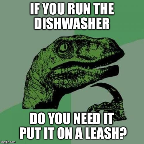 Philosoraptor | IF YOU RUN THE DISHWASHER; DO YOU NEED IT PUT IT ON A LEASH? | image tagged in memes,philosoraptor | made w/ Imgflip meme maker