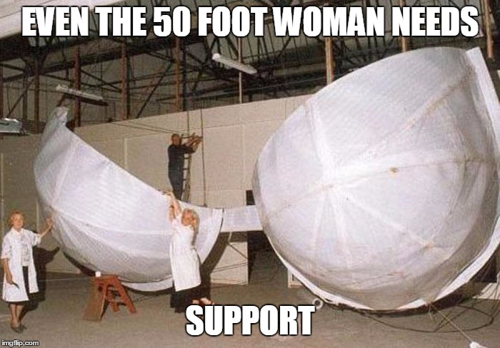 Bewbs | EVEN THE 50 FOOT WOMAN NEEDS; SUPPORT | image tagged in cleavage week,memes | made w/ Imgflip meme maker