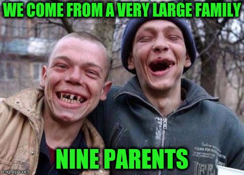 Ugly Twins | WE COME FROM A VERY LARGE FAMILY; NINE PARENTS | image tagged in memes,ugly twins | made w/ Imgflip meme maker